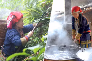 Người phụ nữ Dao đi lấy lá thuốc và nấu thành hỗn hợp nước tắm tốt cho sức khỏe.