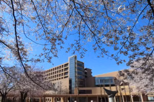 Trường Đại học Tokyo, Nhật Bản.