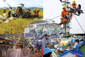 Ảnh minh họa/INT