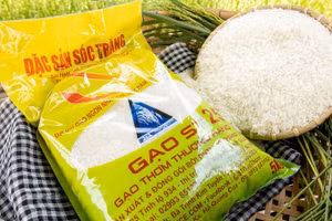 Thương hiệu gạo ST25 “bị đánh cắp” ở Mỹ: Cần hiểu đúng để biết thật - giả