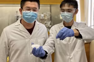 Quá trình biến đổi diễn ra trong một giờ.