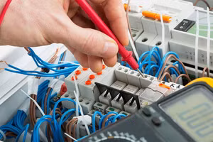 Ảnh minh họa/internet.