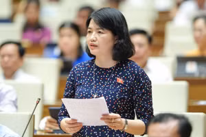 Đại biểu Nguyễn Thị Mai Thoa - Đoàn ĐBQH Hải Dương.