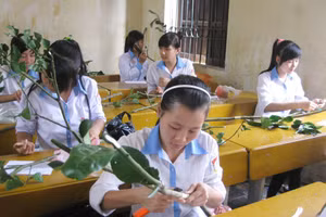 Kỳ thi nghề phổ thông năm nay tỉnh Điện Biên có hơn 6.500 học sinh THPT đăng ký tham gia. Ảnh minh họa.