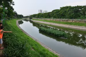 Minh họa/INT