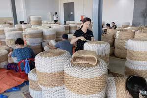 Hiện ở Kim Sơn có nhiều doanh nghiệp tham gia sản xuất sản phẩm từ cói.