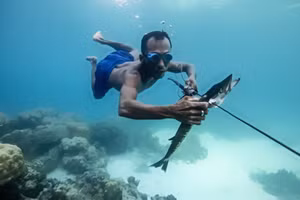 Người Bajau lặn xuống độ sâu 70m trong vòng 13 phút mà không cần thiết bị hỗ trợ nào.