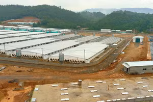 Trang trại lợn của Công ty Cổ phần Đầu tư nông nghiệp Agri-Vina tại xã Tân Phúc, huyện Lang Chánh (Thanh Hóa).