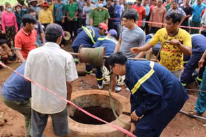Ảnh minh họa.