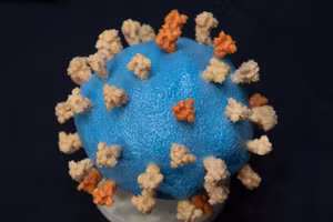 Virus SARS-CoV-2.