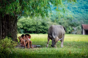 Ảnh minh họa: INT