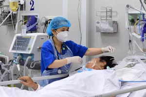 Công việc điều dưỡng trong các cơ sở khám, chữa bệnh hiện nay đòi hỏi ngành y tế phải gấp rút trong đầu tư, đào tạo nguồn nhân lực trẻ.