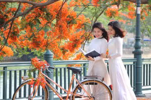 Ảnh minh họa.