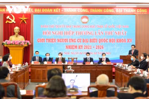 Giám sát chặt chẽ hồ sơ, lý lịch người ứng cử Đại biểu Quốc hội khóa XV 
