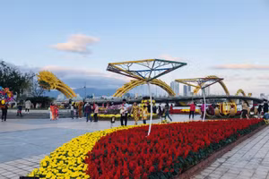 Du khách tham quan đường hoa Xuân Đà Nẵng. 