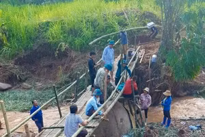 Quân, dân chung tay làm cầu tạm cho hàng trăm học sinh ở “rốn lũ” Nậm Nhừ qua suối đến trường.