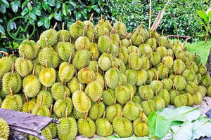 Ảnh minh họa/INT