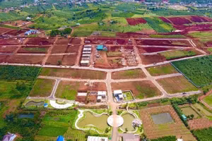 Ảnh minh họa/INT
