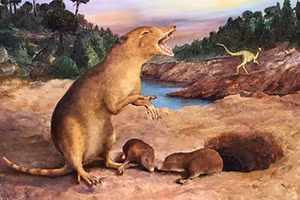 Hình minh họa của Brasilodon quadrangularis - loài động vật có vú 225 triệu năm tuổi.