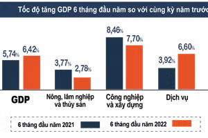 Trong mức tăng chung của toàn nền kinh tế 6 tháng đầu năm, khu vực nông, lâm nghiệp và thủy sản tăng 2,78%.