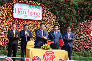 Các bên thực hiện ký kết hợp tác.