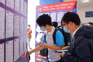 Sinh viên tìm kiếm việc làm tại ngày hội việc làm năm 2023 do Trường Đại học Bách khoa (Đại học Quốc gia TPHCM) tổ chức. Ảnh: Mạnh Tùng