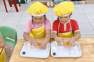 Ảnh minh họa