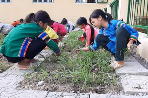 (Ảnh minh họa)
