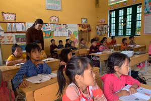 Ảnh minh họa