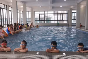 Học sinh Trường Tiểu học Đình Bảng 1 tại lớp bơi. Ảnh: NTCC