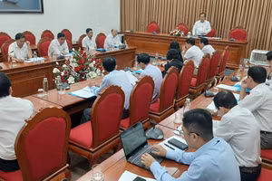 Phó Chủ tịch UBND tỉnh Cà Mau Nguyễn Minh Luân phát biểu tại cuộc họp.