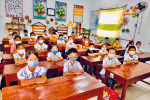 Học sinh tiểu học ở Bắc Giang (ảnh minh họa).