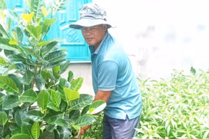 Cựu chiến binh 51 tuổi vừa đậu tốt nghiệp THPT năm 2023 (ảnh: TT).