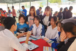 Tư vấn, hướng nghiệp cho học sinh Trường THPT huyện Nậm Pồ, tỉnh Điện Biên. Ảnh NTCC.