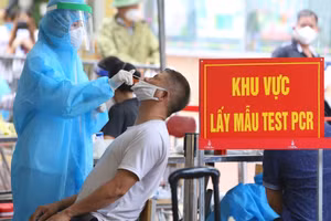 Ảnh minh họa.