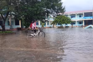 HS Bình Định nghỉ học từ sáng ngày 10/11 để phòng tránh bão số 12