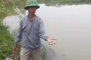 Minh họa/INT