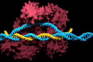 Anh phê duyệt việc sử dụng liệu pháp CRISPR để điều trị hai chứng rối loạn máu di truyền.