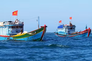 Minh họa/INT