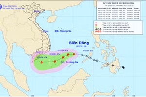 Áp thấp nhiệt đới có khả năng mạnh lên thành bão, sức gió giật cấp 10