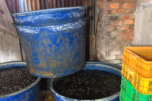 Công an phát hiện số lượng lớn ốc sơ chế mất vệ sinh, ngâm với hóa chất công nghiệp ở hai cơ sở gần Chợ Bình Điền. Ảnh CA. 