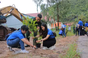 Đoàn viên, thanh niên Trường ĐH Kiên Giang và bộ đội biên phòng trồng cây xanh trên đảo Nam Du.
