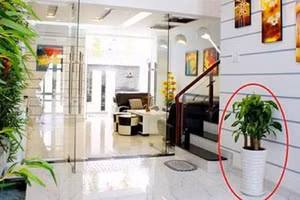 Cuối năm Canh Tý, đừng quên làm 4 điều này để tài lộc đua nhau "chảy" vào