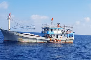 Ngư dân được đưa lên bờ cấp cứu. Ảnh: UBND quận Sơn Trà. 