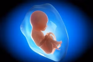 Chiều cao của trẻ được hình thành từ trong bụng mẹ.