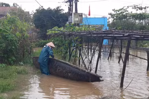 Trong đợt mưa lũ trái mùa vừa qua đã gây thiệt hại nặng cho tỉnh Thừa Thiên - Huế.
