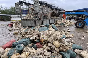 Lực lượng chức năng phát hiện công ty cao su đổ chất thải rắn ra môi trường trái quy định.