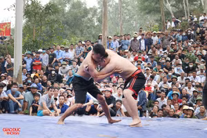 Hội vật truyền thống tại Lễ hội Đền Vua Mai, huyện Nam Đàn, Nghệ An. (Ảnh: Phạm Tâm)