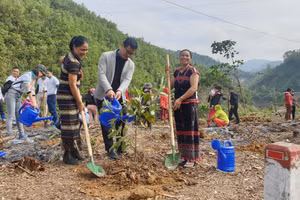 Đại diện Trung tâm Truyền thông TN&MT trồng cây cùng đồng bào dân tộc Cơtu.