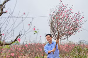 Ảnh minh hoạ.